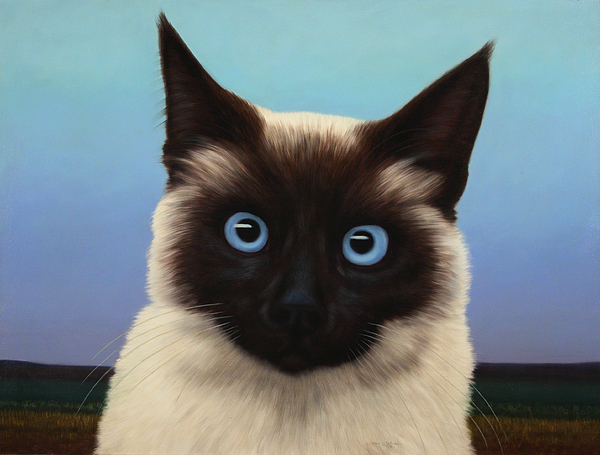 Cats Art for Sale