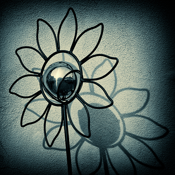 Flowers Art for Sale