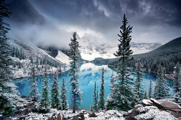 Wall Art - Photograph - Morning Blues by Trevor Cole