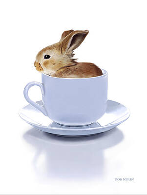Wall Art - Digital Art - Morning Bunny by Bob Nolin