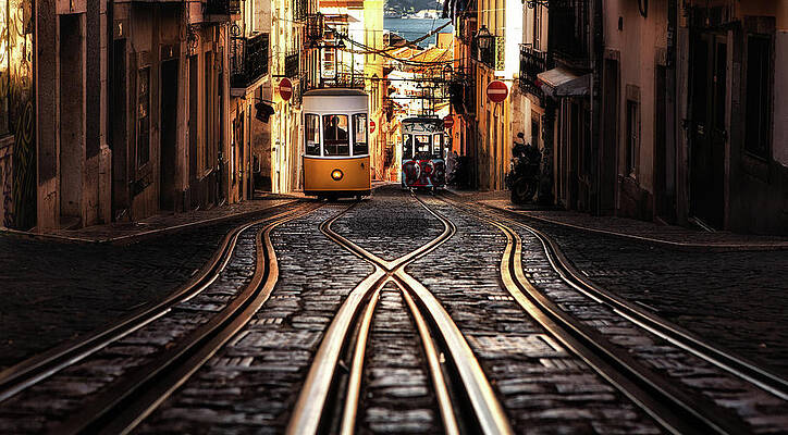 Wall Art - Photograph - Morning Light by Jorge Maia