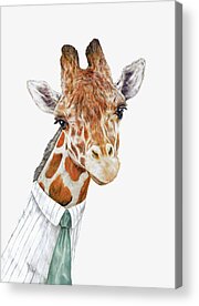 Shop for Animal Acrylic Prints