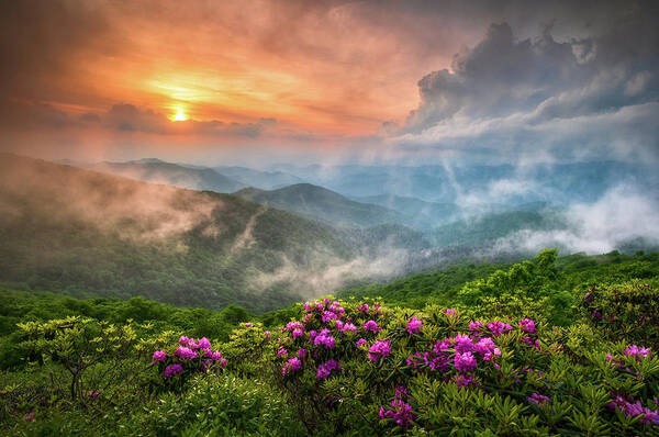 Wall Art - Photograph - North Carolina Blue Ridge Parkway Spring Appalachian Mountains NC by Dave Allen