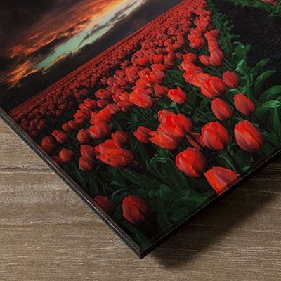 Acrylic Prints