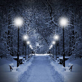 Park at Christmas by Jaroslaw Grudzinski