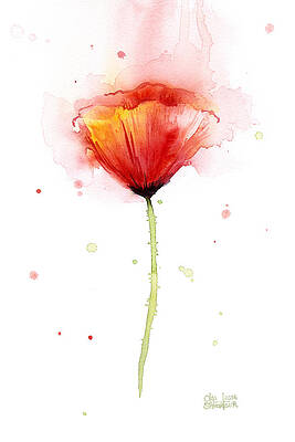 Wall Art - Painting - Poppy Watercolor Red Abstract Flower by Olga Shvartsur