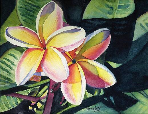 Wall Art - Painting - Rainbow Plumeria by Marionette Taboniar