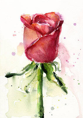 Wall Art - Painting - Rose Watercolor by Olga Shvartsur