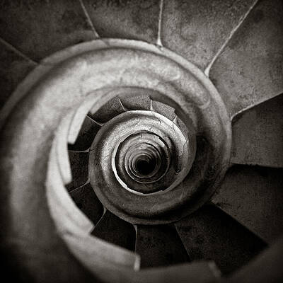 Wall Art - Photograph - Sagrada Familia Steps by Dave Bowman