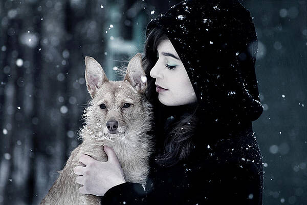 Wall Art - Photograph - Snow walk by Cambion Art