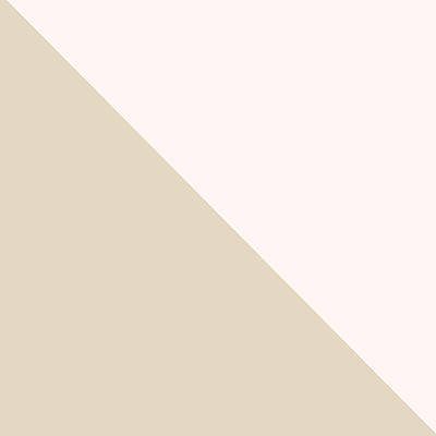 Wall Art - Digital Art - Soft Blush and Champagne by Linda Woods