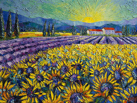 Wall Art - Painting - SUNFLOWERS AND LAVENDER FIELD - THE COLORS OF PROVENCE Modern Impressionist Palette Knife Painting by Mona Edulesco