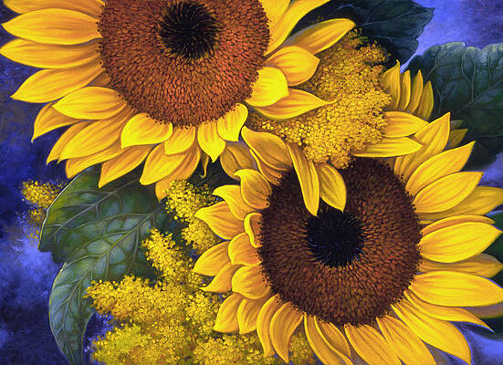 Wall Art - Painting - Sunflowers by Mia Tavonatti