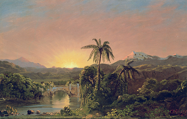Rainforests Art for Sale