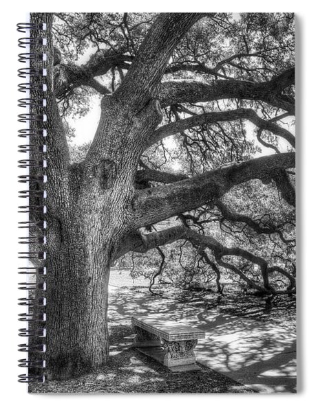 The Century Oak Spiral Notebook