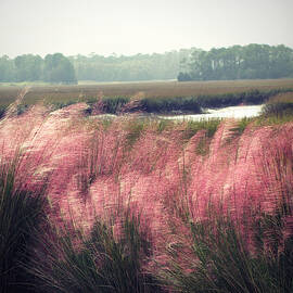 The Lowlands by Amy Tyler