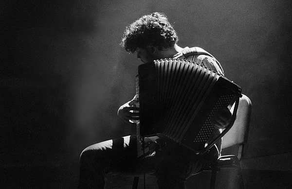 Accordions Art for Sale