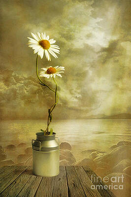 Wall Art - Photograph - Together by Veikko Suikkanen