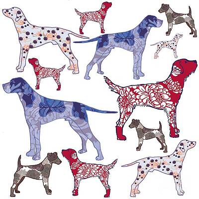 Wall Art - Digital Art - Top dogs by Sarah Hough