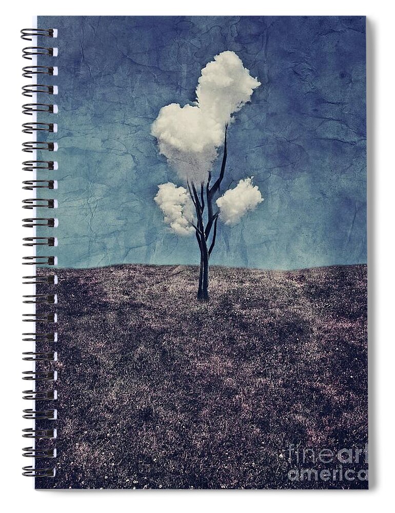 Notebooks