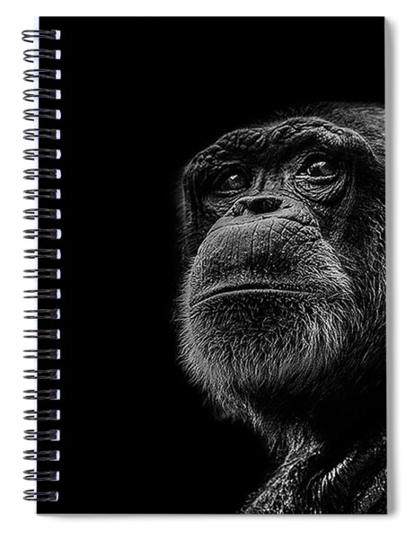 Trepidation Spiral Notebook