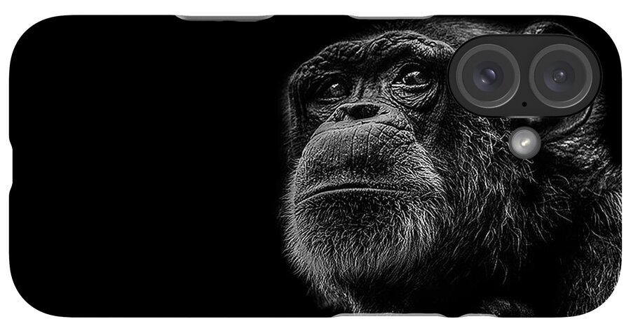 iPhone Case - Trepidation by Paul Neville