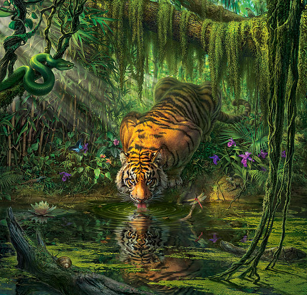 Jungle Art for Sale