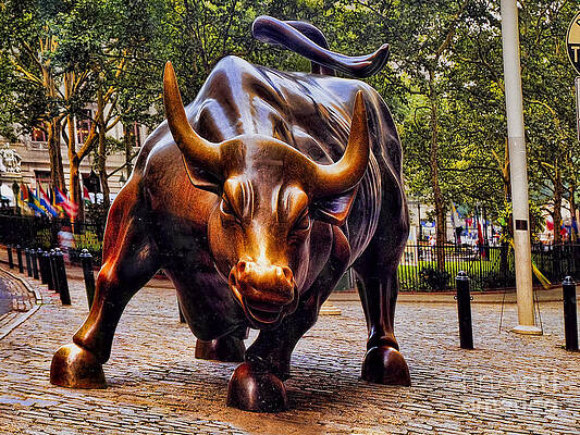 Wall Art - Photograph - Wall Street Bull by David Smith