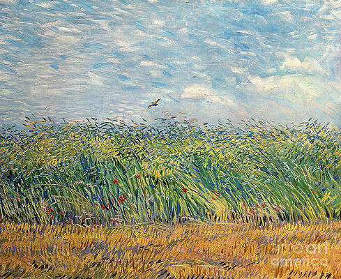 Wall Art - Painting - Wheatfield with Lark by Vincent van Gogh