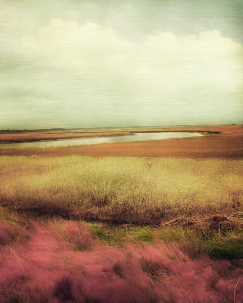 Wall Art - Photograph - Wide Open Spaces by Amy Tyler