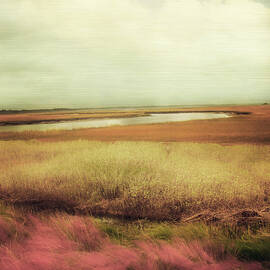 Impressionism Photographs