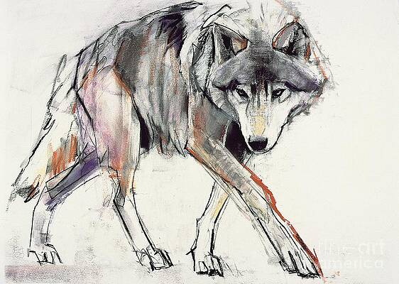 Wall Art - Painting - Wolf  by Mark Adlington