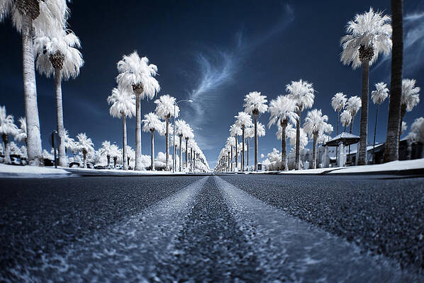 Wall Art - Photograph - X by Sean Foster