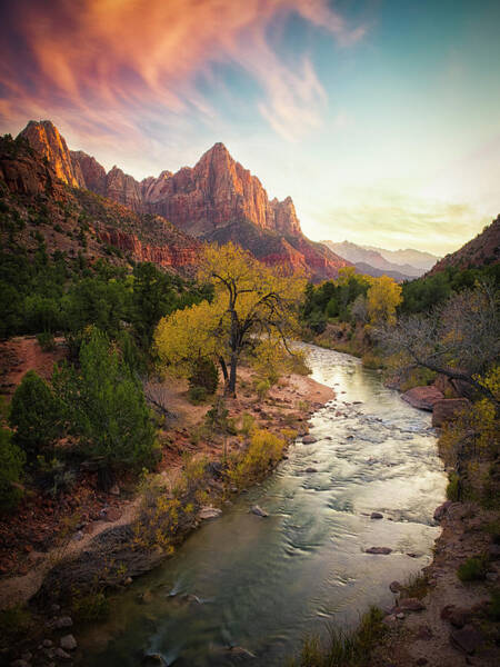 Wall Art - Photograph - Zion National Park by Michael Zheng