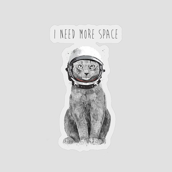 I Need More Space Sticker