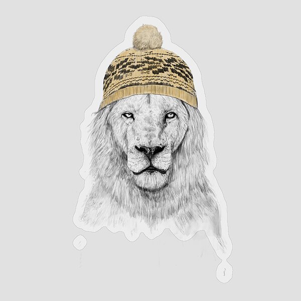 Winter Lion Sticker